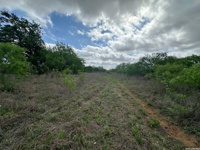 17603 Shepherd Rd, Atascosa, TX 78002