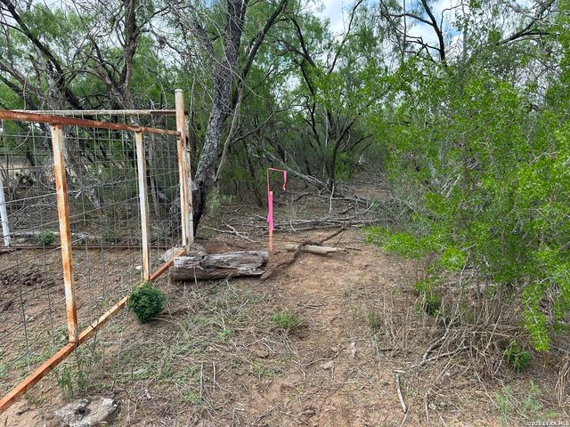 17603 Shepherd Rd, Atascosa, TX 78002
