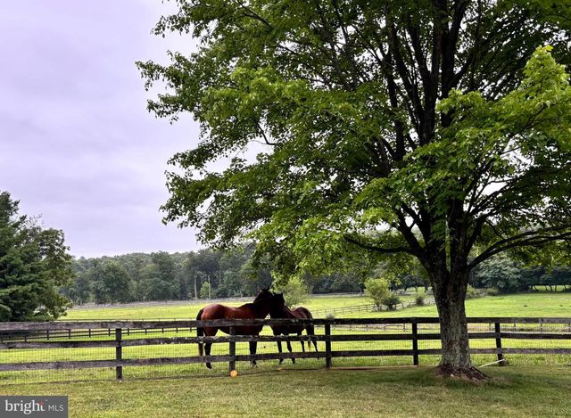 34994 WILLIAMS GAP RD, Round Hill, VA 20141