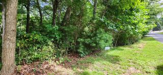 00000 Barebridge Drive 9, Burnsville, NC 28714