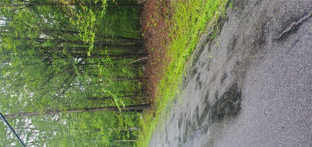 Tr 105 Cypert Road, Fallsburg, NY 12733