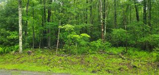 Tr 105 Cypert Road, Fallsburg, NY 12733