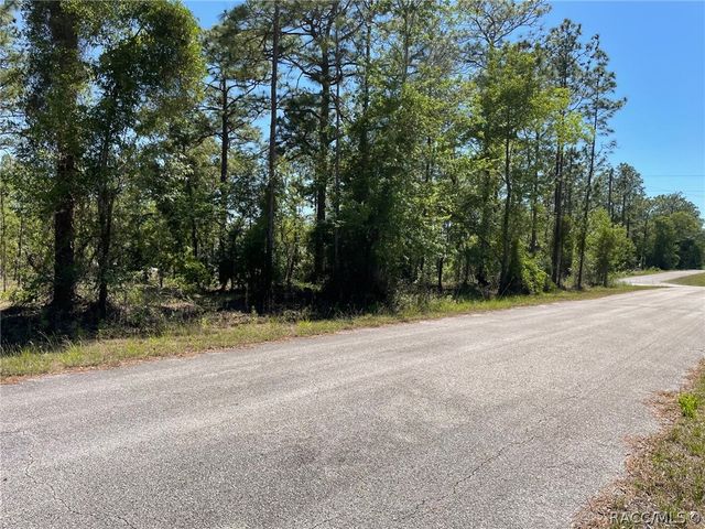 LOT 1 NW Mandrake Drive, Dunnellon, FL 34431