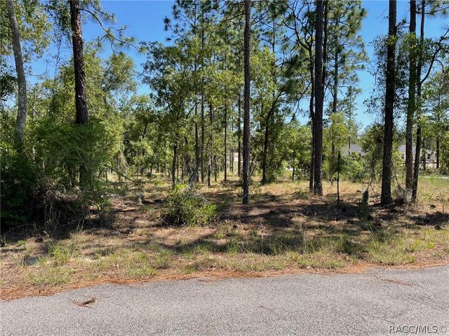 LOT 1 NW Mandrake Drive, Dunnellon, FL 34431