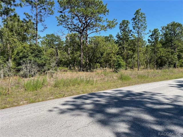 LOT 1 NW Mandrake Drive, Dunnellon, FL 34431