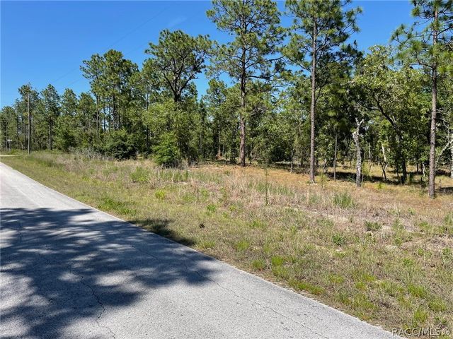 LOT 1 NW Mandrake Drive, Dunnellon, FL 34431
