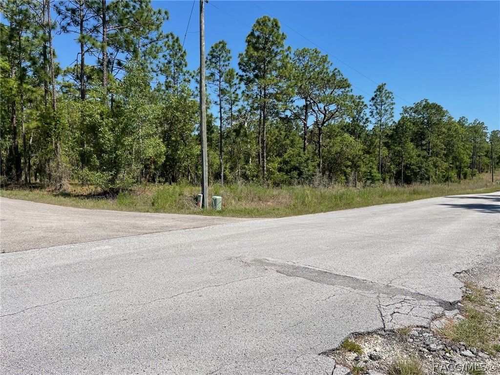 LOT 1 NW Mandrake Drive, Dunnellon, FL 34431
