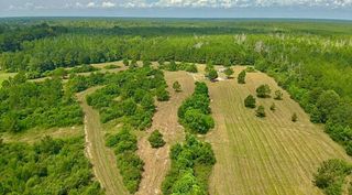 81363 George Sanner Rd Road, Village Mills, TX 77663