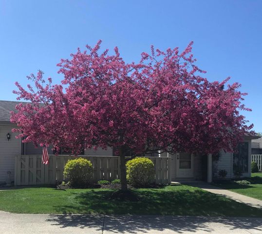 6226 Savannah Cove, Fort Wayne, IN 46835