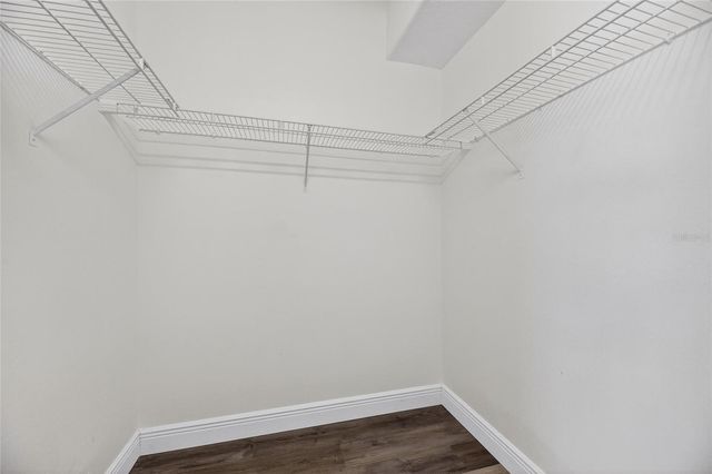 16003 RIDLEY PLACE, Tampa, FL 33647