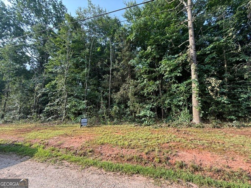 LOT 92 Rue Fieur De Lis, Lavonia, GA 30553 — photo 4