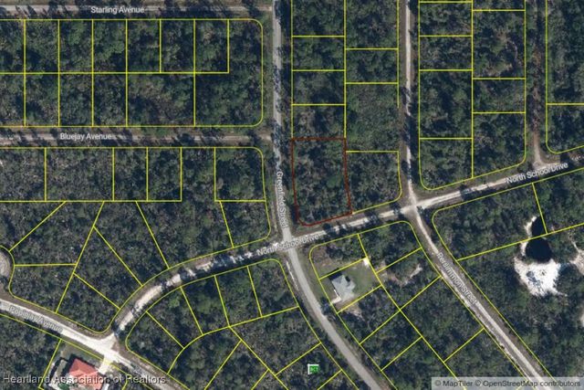 1243 Greenfield Street, Lake Placid, FL 33852