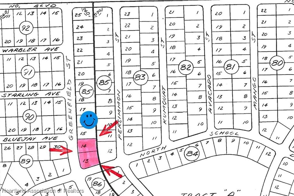 1243 Greenfield Street, Lake Placid, FL 33852