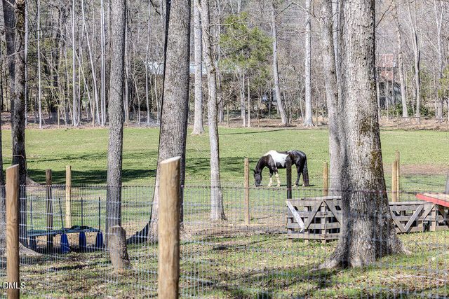 4000 Woodland Park Drive, Hillsborough, NC 27278