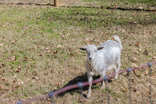 4000 Woodland Park Drive, Hillsborough, NC 27278