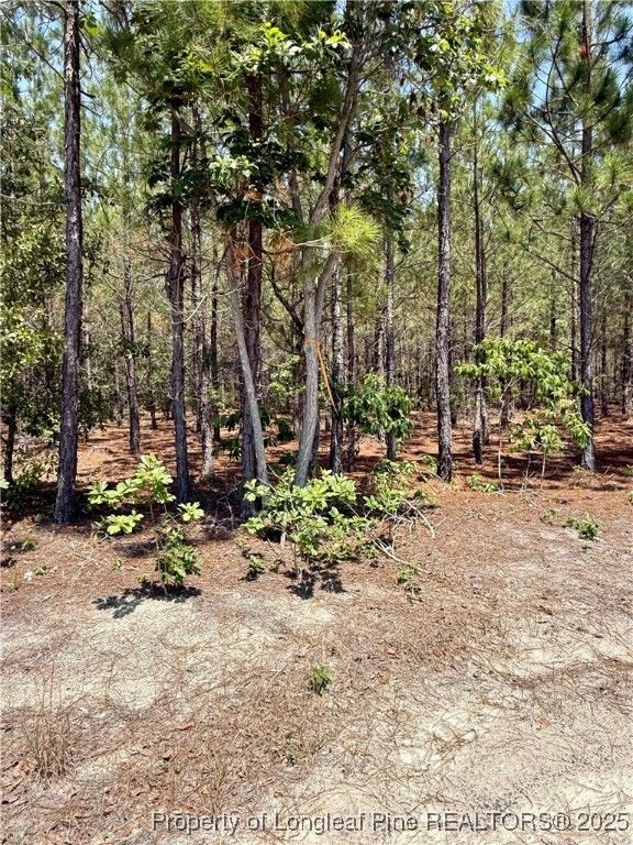 TBD 2 North Turnpike Road, Wagram, NC 28396