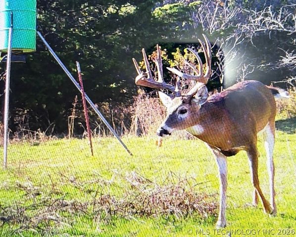 6455 Watson, Sulphur, OK 73086