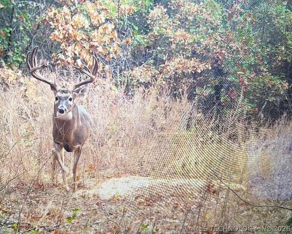 6455 Watson, Sulphur, OK 73086