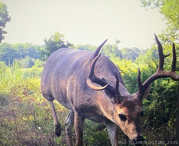 6455 Watson, Sulphur, OK 73086