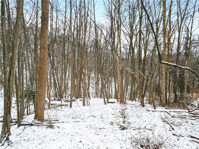 217 Klein Rd, Indiana Twp, PA 15116