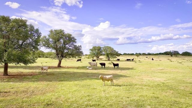 12119 W Highway 29 Highway, Llano, TX 78643
