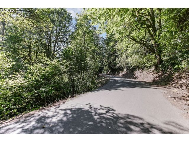 2524 Se MANNTHEY Rd, Corbett, OR 97019