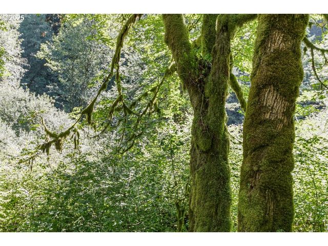 2524 Se MANNTHEY Rd, Corbett, OR 97019