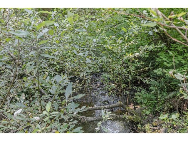 2524 Se MANNTHEY Rd, Corbett, OR 97019