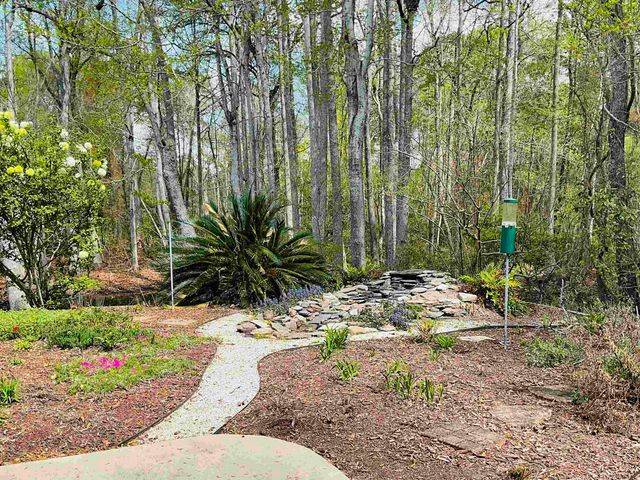 242 Hyacinth Loop, Murrells Inlet, SC 29576