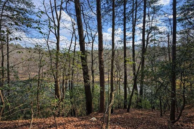 0 Hamlet Court, Ellijay, GA 30540