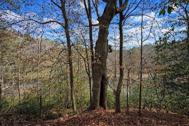 0 Hamlet Court, Ellijay, GA 30540