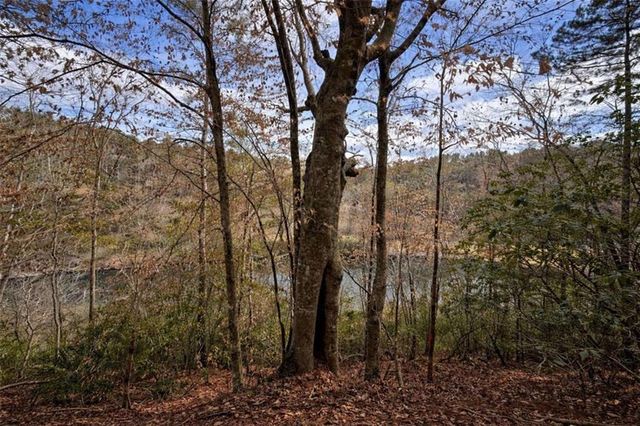 0 Hamlet Court, Ellijay, GA 30540