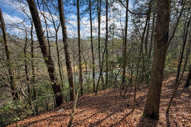 0 Hamlet Court, Ellijay, GA 30540