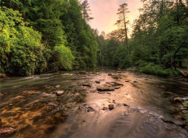 0 Hamlet Court, Ellijay, GA 30540