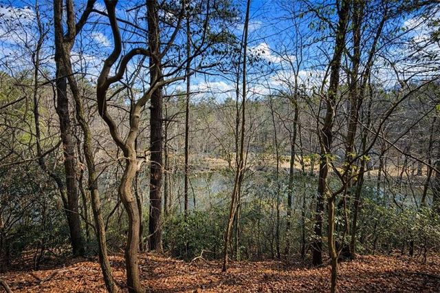 0 Hamlet Court, Ellijay, GA 30540