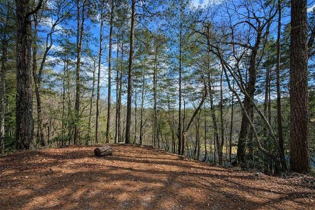 0 Hamlet Court, Ellijay, GA 30540