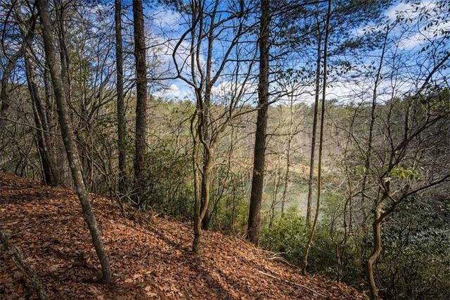 0 Hamlet Court, Ellijay, GA 30540