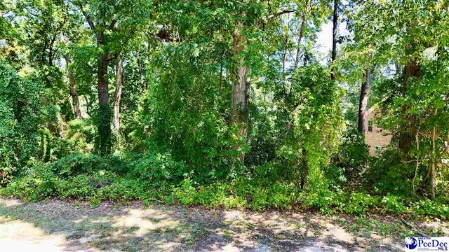 278 Timberlake Dr, Florence, SC 29501