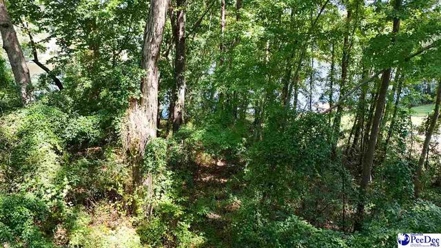 278 Timberlake Dr, Florence, SC 29501