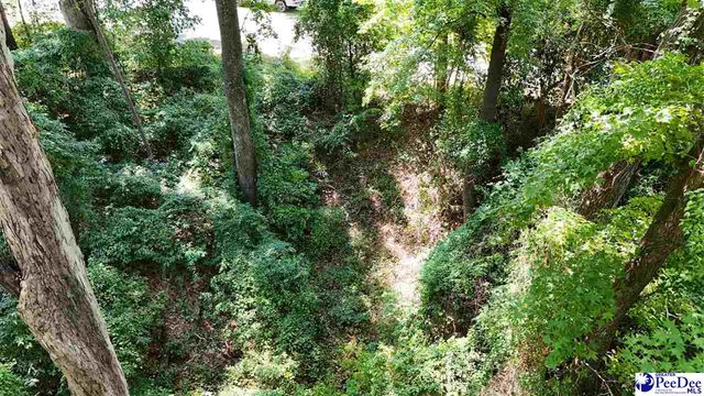 278 Timberlake Dr, Florence, SC 29501