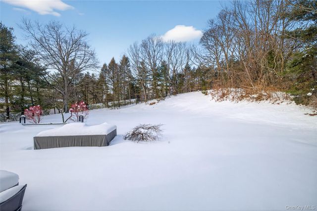 48 Westwood Court, Woodbury, NY 11797