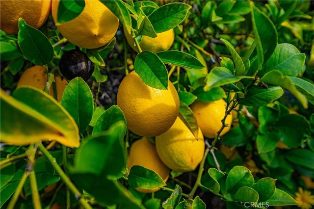 25497 Blackwood Road, Murrieta, CA 92563