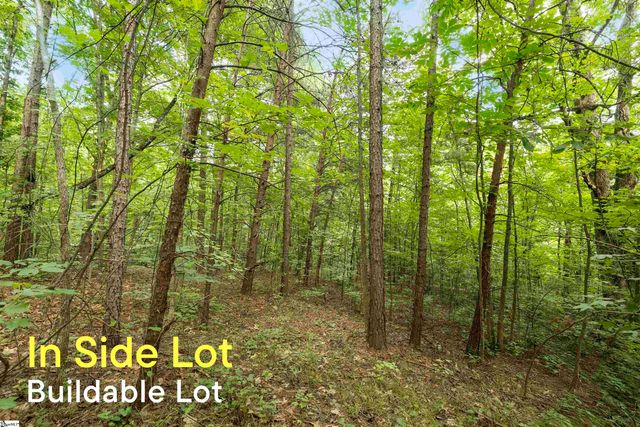 00 Foxboro Road, Travelers Rest, SC 29690