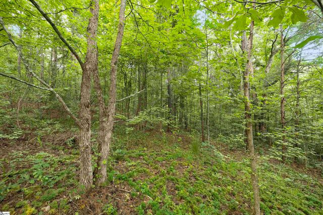 00 Foxboro Road, Travelers Rest, SC 29690