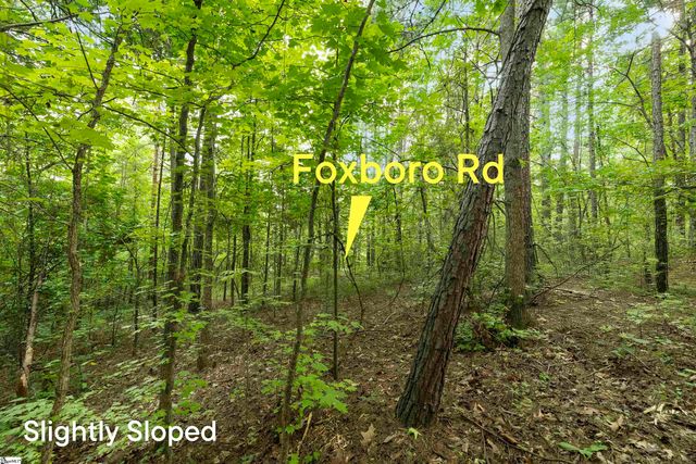 00 Foxboro Road, Travelers Rest, SC 29690