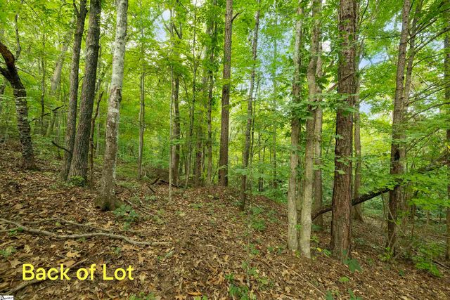 00 Foxboro Road, Travelers Rest, SC 29690