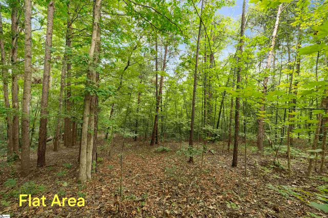 00 Foxboro Road, Travelers Rest, SC 29690