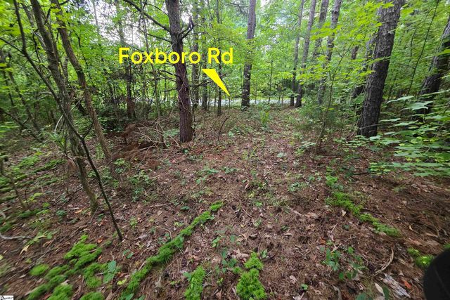 00 Foxboro Road, Travelers Rest, SC 29690