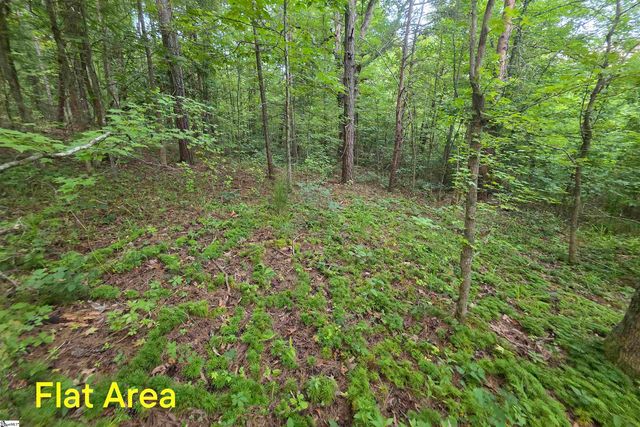00 Foxboro Road, Travelers Rest, SC 29690