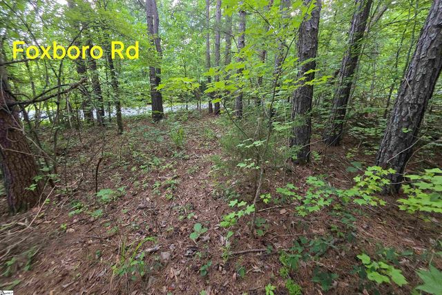 00 Foxboro Road, Travelers Rest, SC 29690